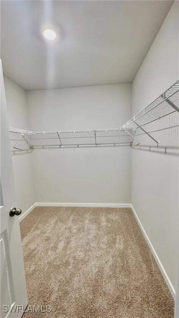 17710 Shade Tree Loop Babcock Ranch FL 33982