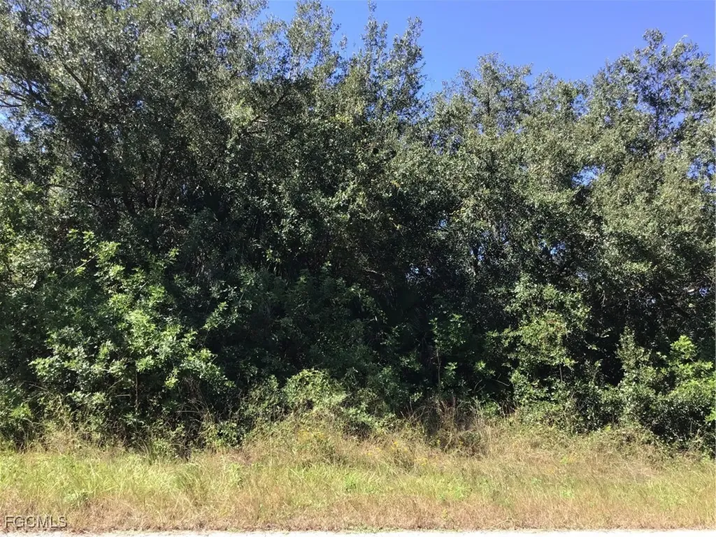 1903 Leroy Avenue Lehigh Acres FL 33972