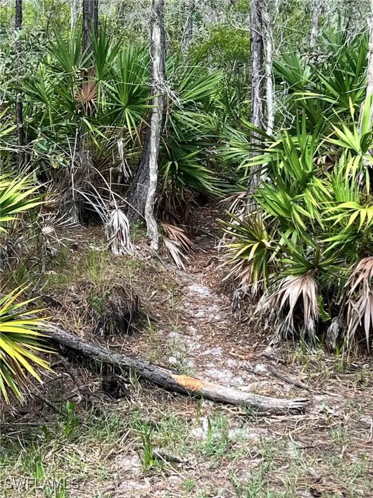 21061 Granville Road Fort Myers FL 33917