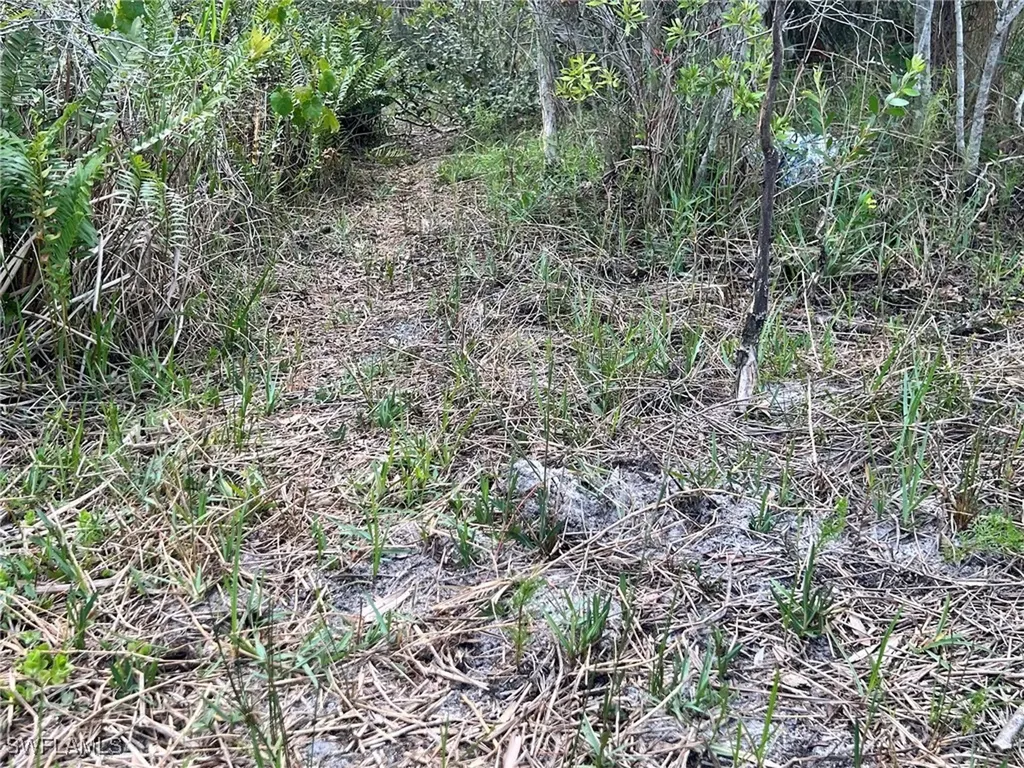 21061 Granville Road Fort Myers FL 33917