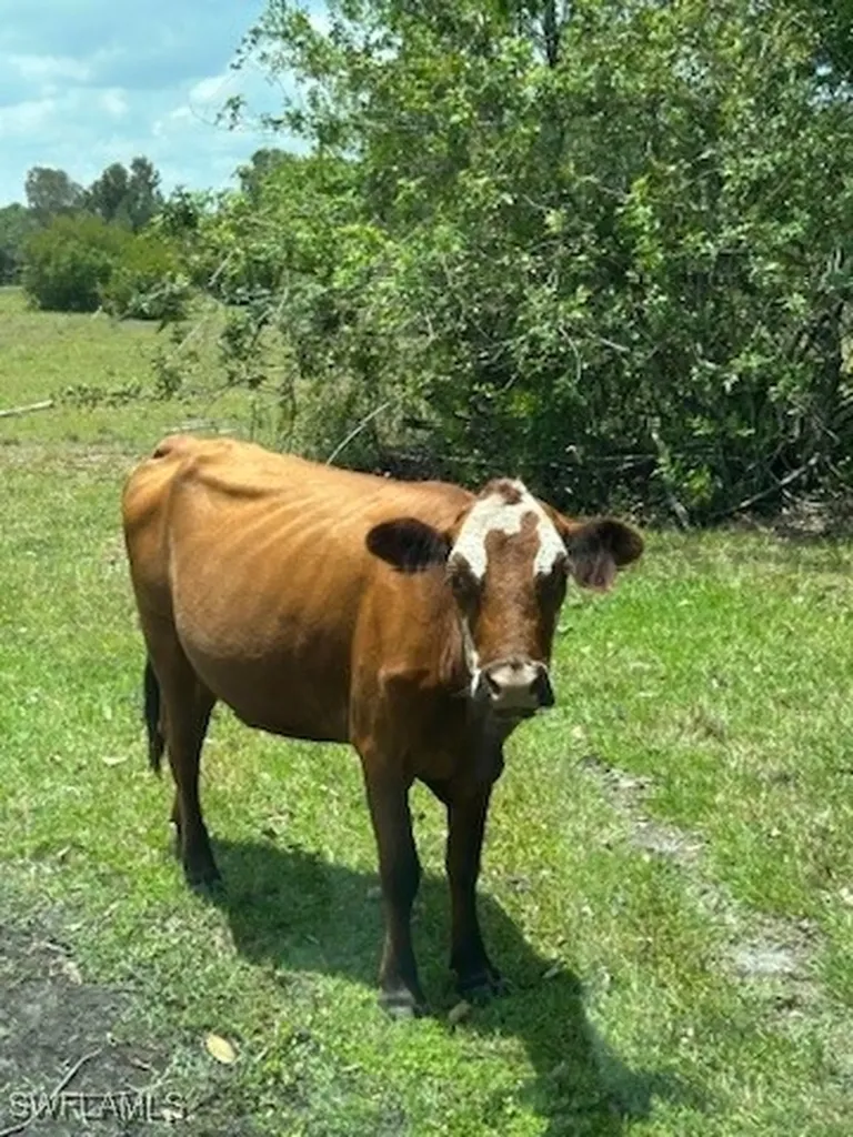 21081 Granville Road Fort Myers FL 33917