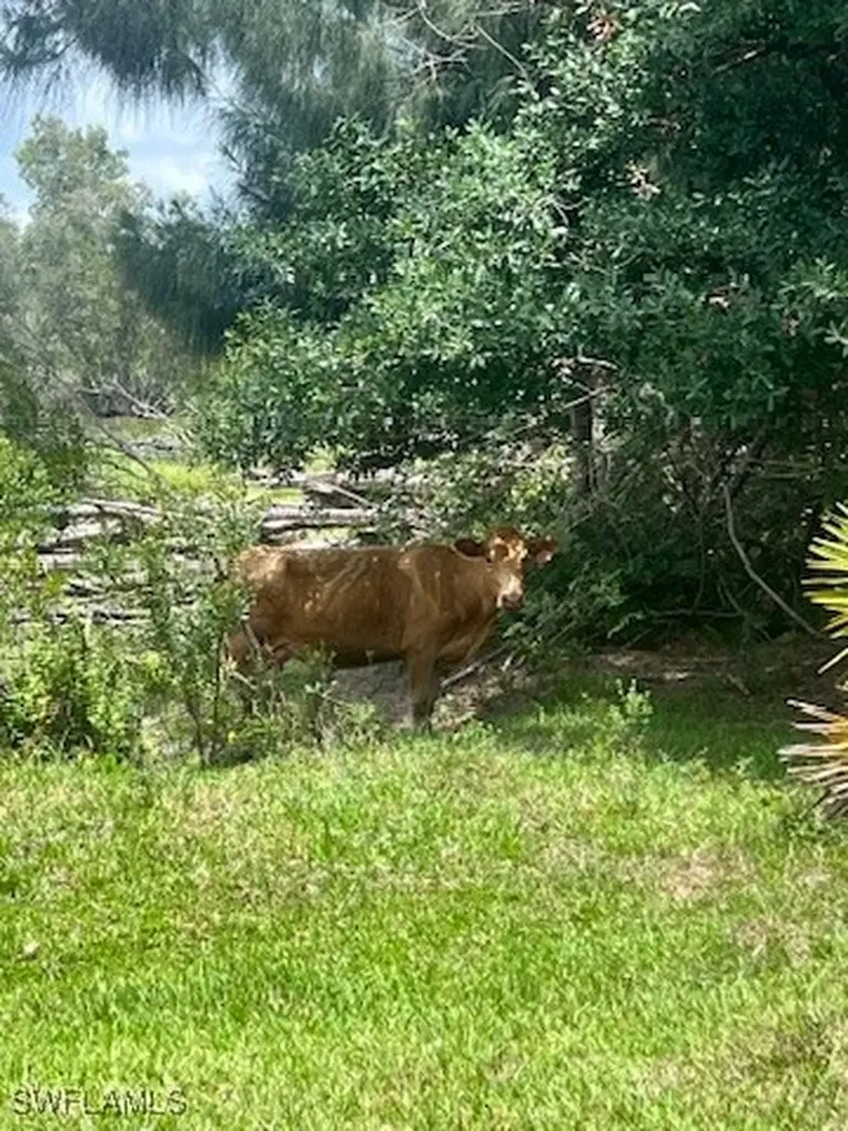 21081 Granville Road Fort Myers FL 33917