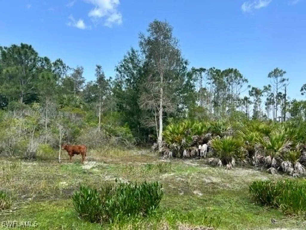 21081 Granville Road Fort Myers FL 33917