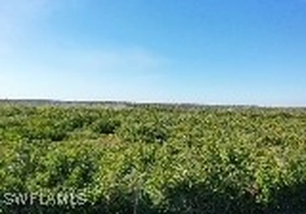 6477 Park Road Fort Myers FL 33908