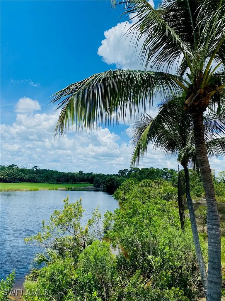 23850 Via Italia Circle Estero FL 34134