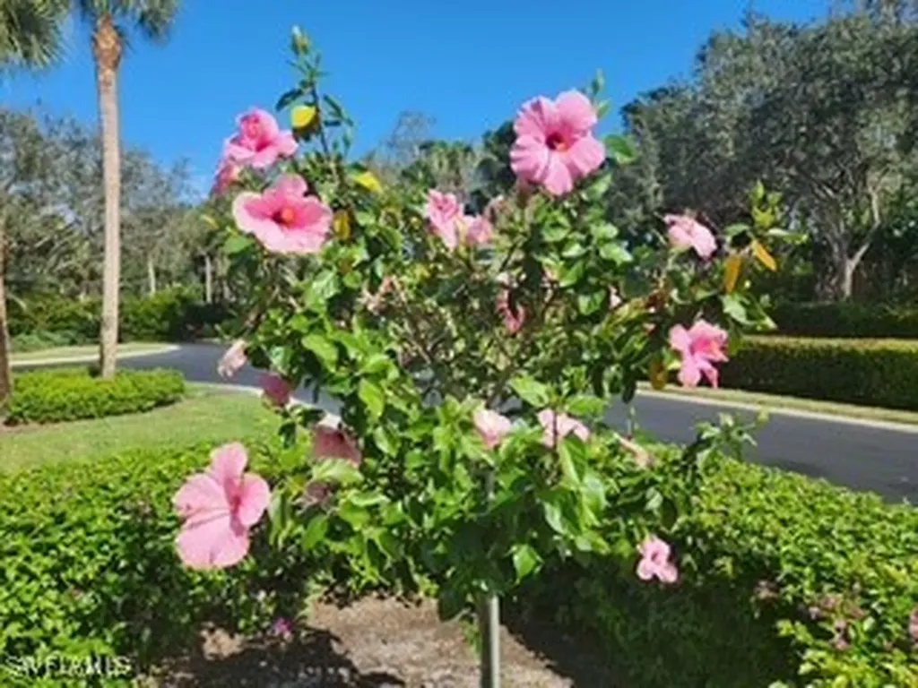 922 Turtle Court Naples FL 34108