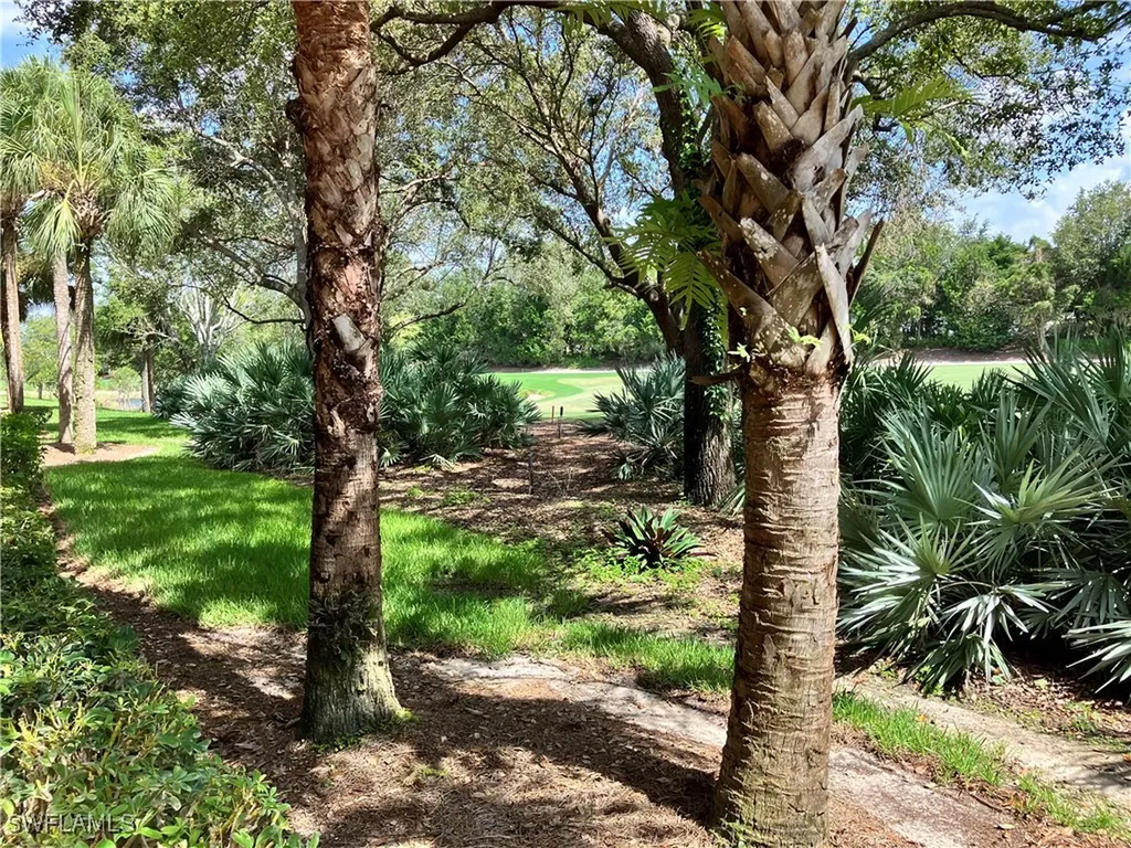 11091 Corsia Trieste Way Bonita Springs FL 34135