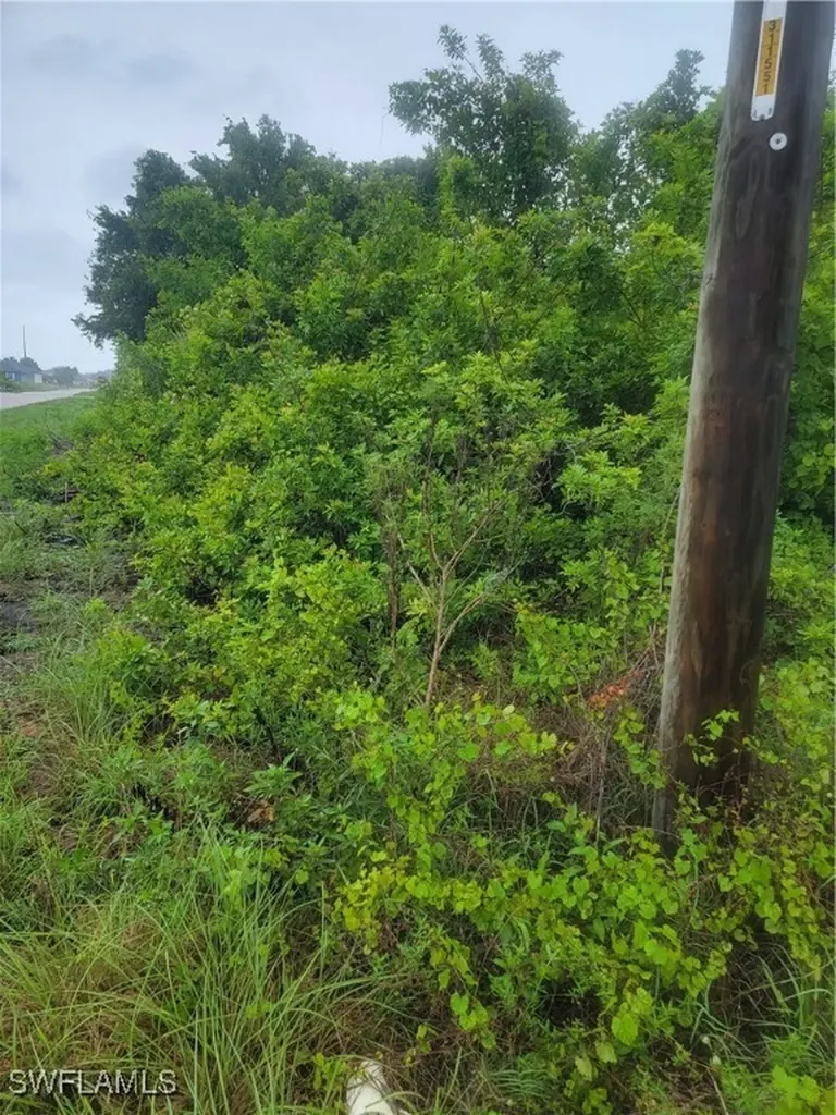 3114 5th Street SW Lehigh Acres FL 33976