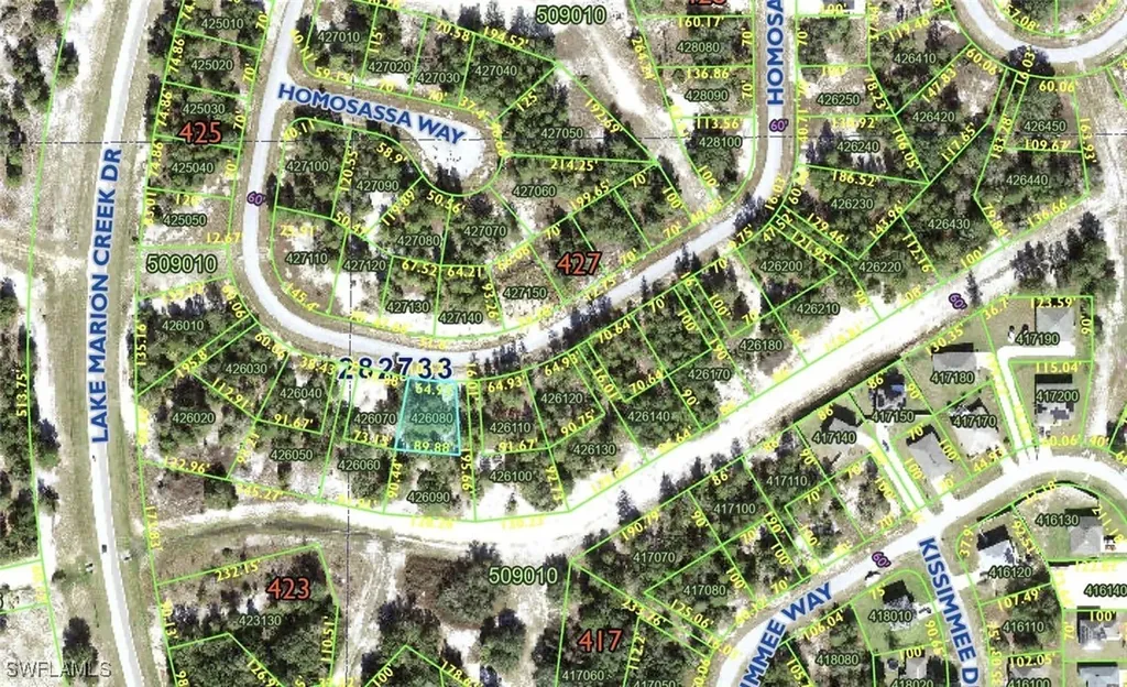 1348 Homosassa Drive Kissimmee FL 34759