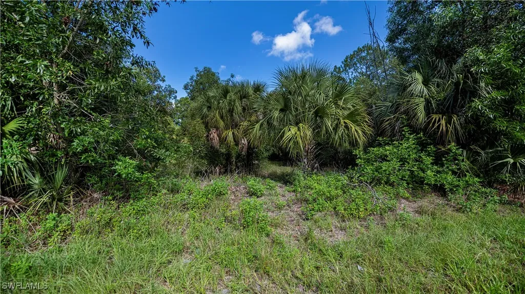 2001 E 5th Street Lehigh Acres FL 33936