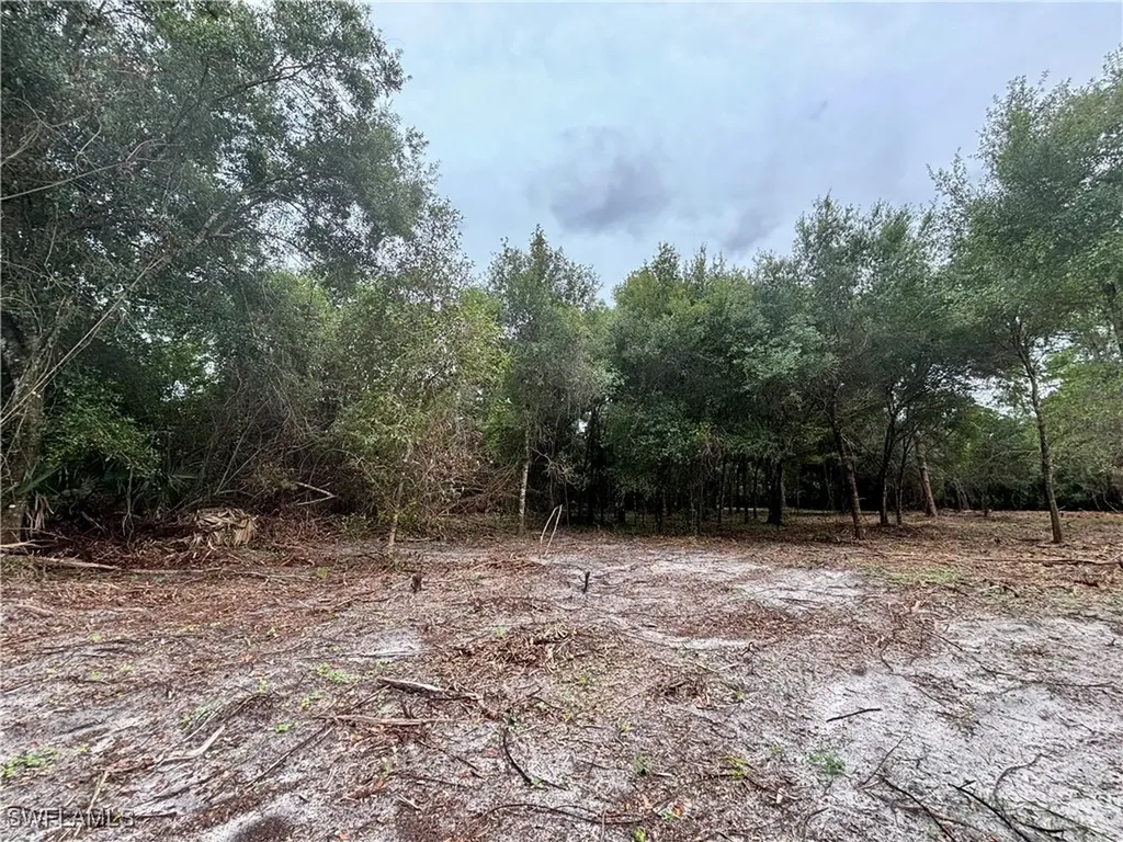 4600 Pioneer 17th Street Clewiston FL 33440