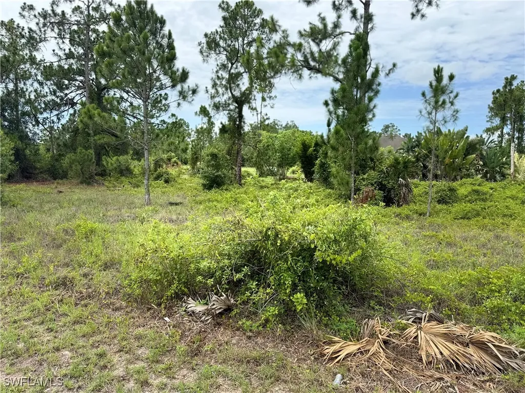 1244 Cordoba Street E Lehigh Acres FL 33974