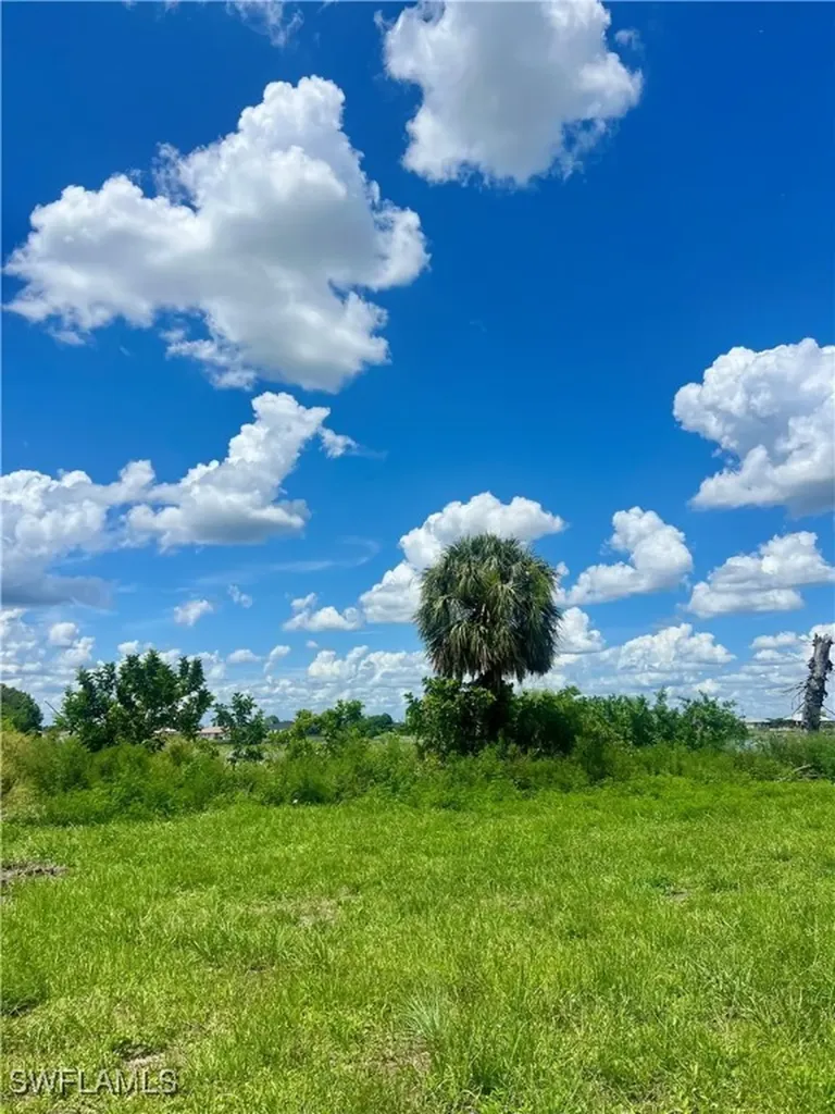 319 NW 11th Terrace Cape Coral FL 33993