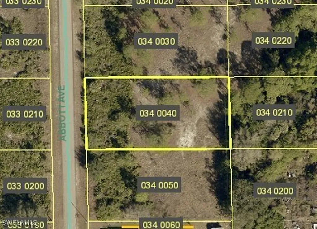 616 Abbott Avenue NW Lehigh Acres FL 33972