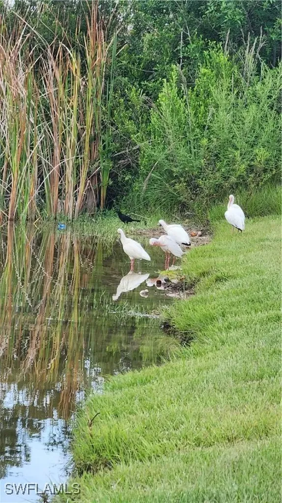 1818 NE 1st Place Cape Coral FL 33909