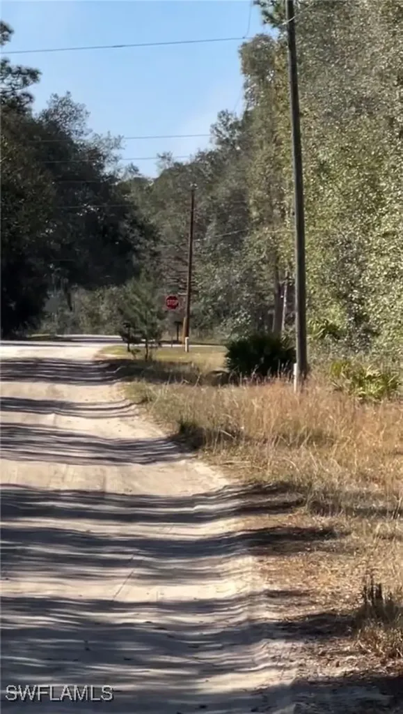 116 Lancaster Street Interlachen FL 32148