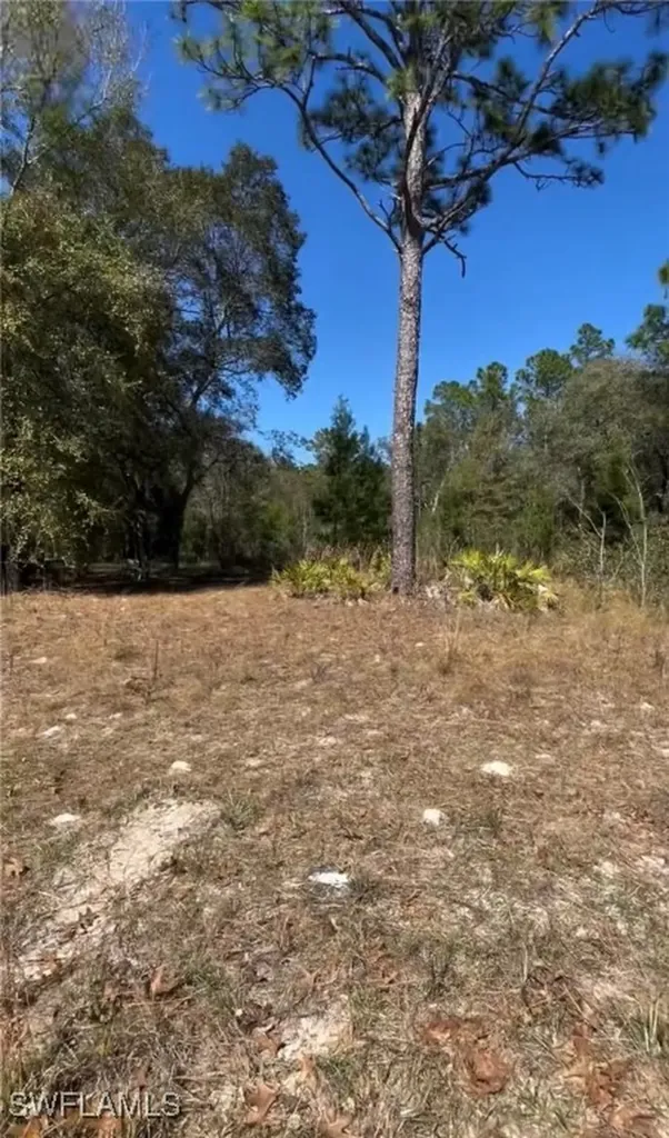 116 Lancaster Street Interlachen FL 32148