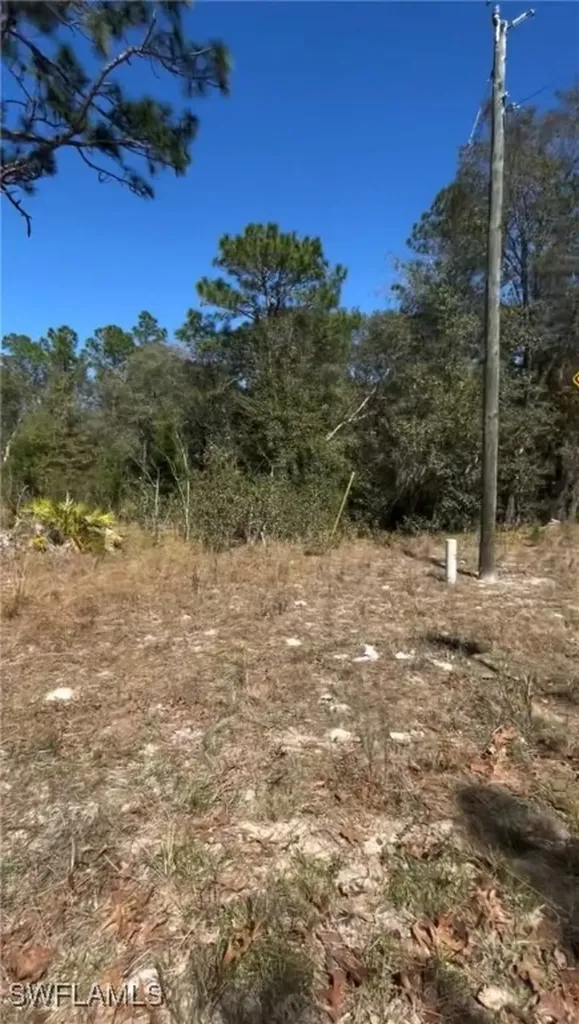 116 Lancaster Street Interlachen FL 32148