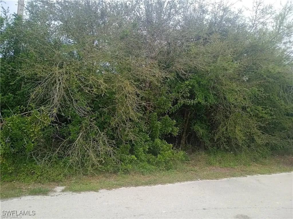 3512 26th Street SW Lehigh Acres FL 33976