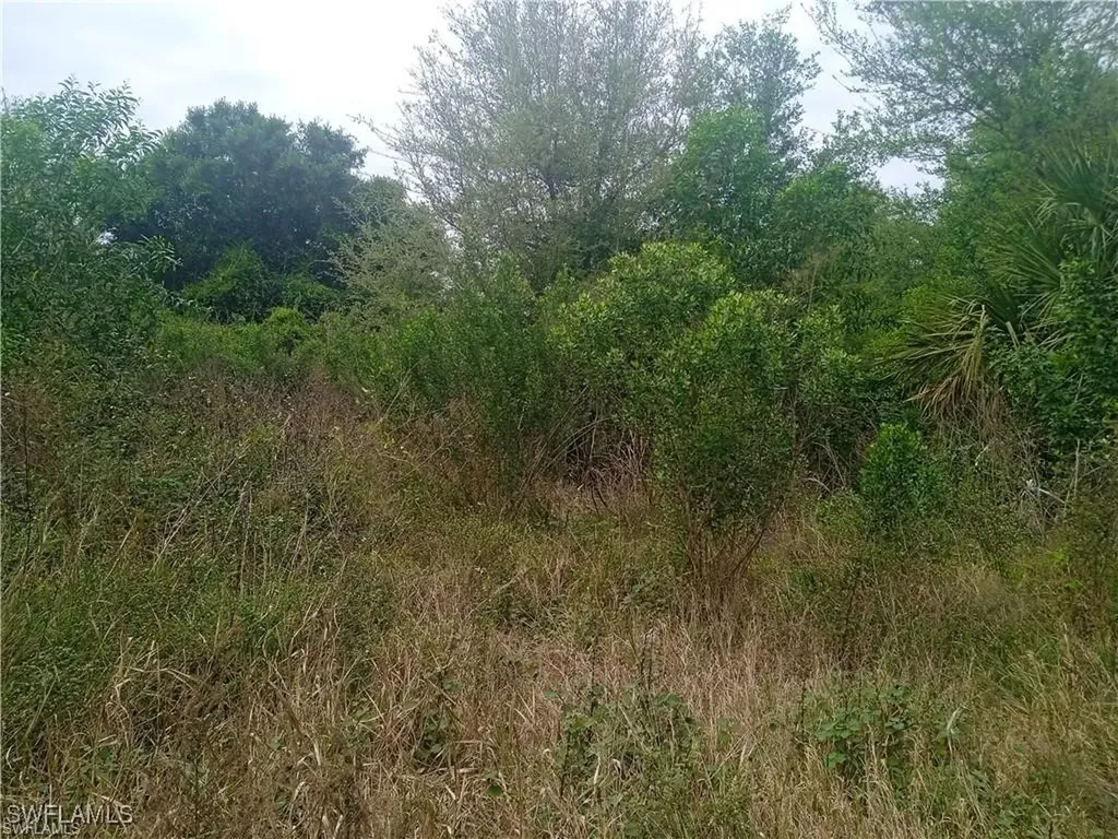 3512 26th Street SW Lehigh Acres FL 33976
