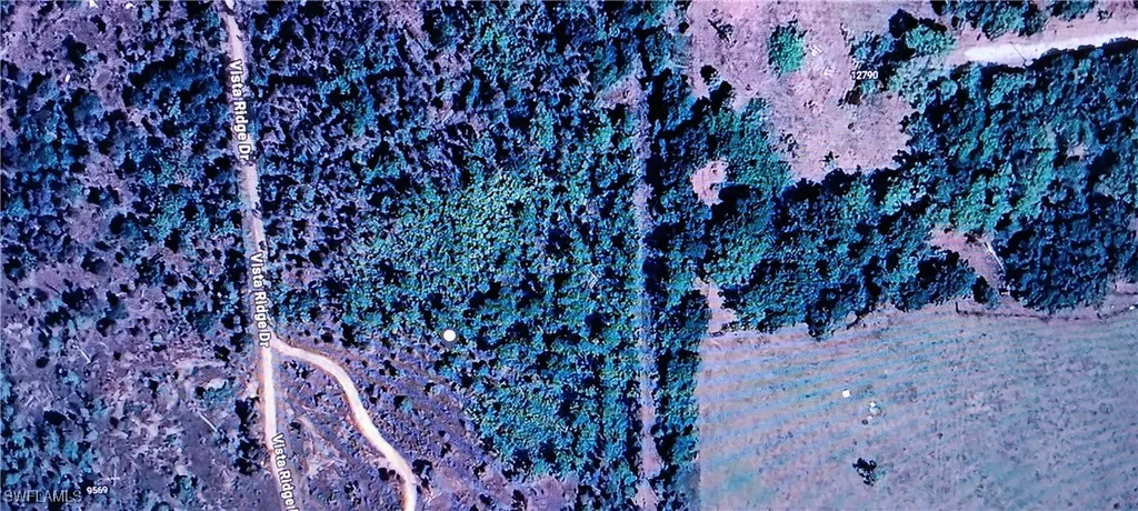 Vista Ridge Drive Fort Myers FL 33913