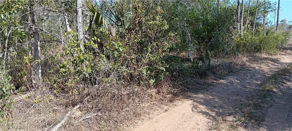 Vista Ridge Drive Fort Myers FL 33913