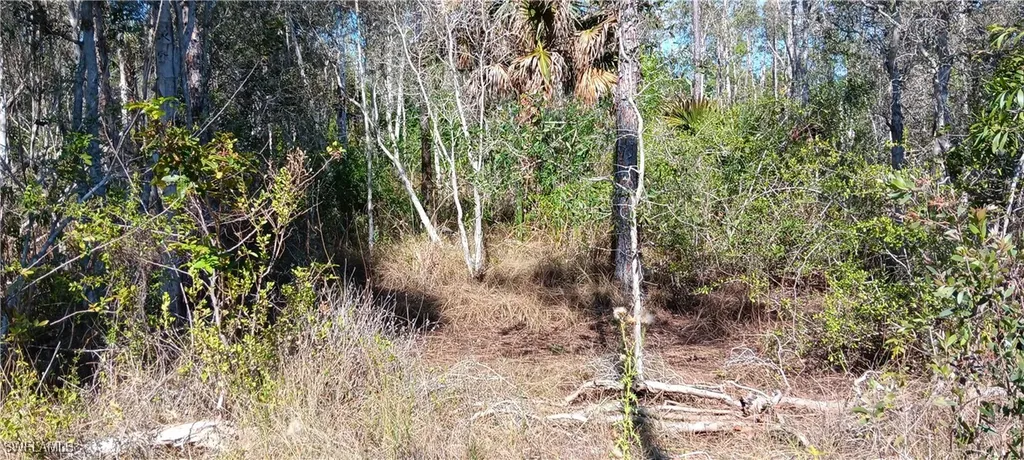 Vista Ridge Drive Fort Myers FL 33913