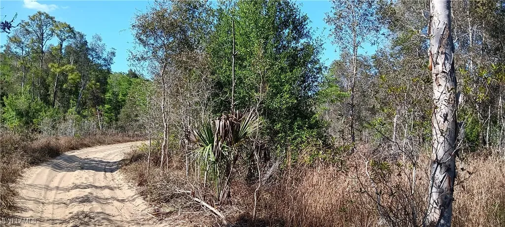 Vista Ridge Drive Fort Myers FL 33913