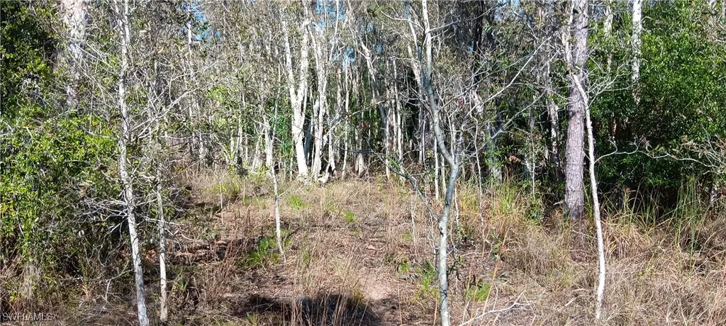 Vista Ridge Drive Fort Myers FL 33913