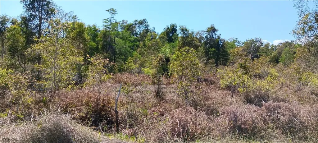 Vista Ridge Drive Fort Myers FL 33913