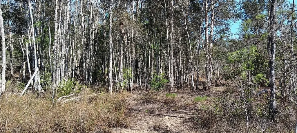 Vista Ridge Drive Fort Myers FL 33913