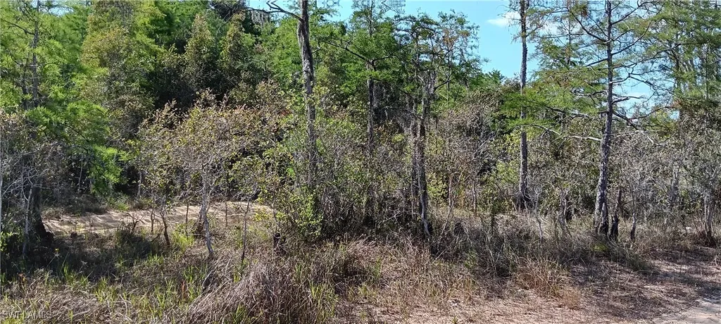 Vista Ridge Drive Fort Myers FL 33913