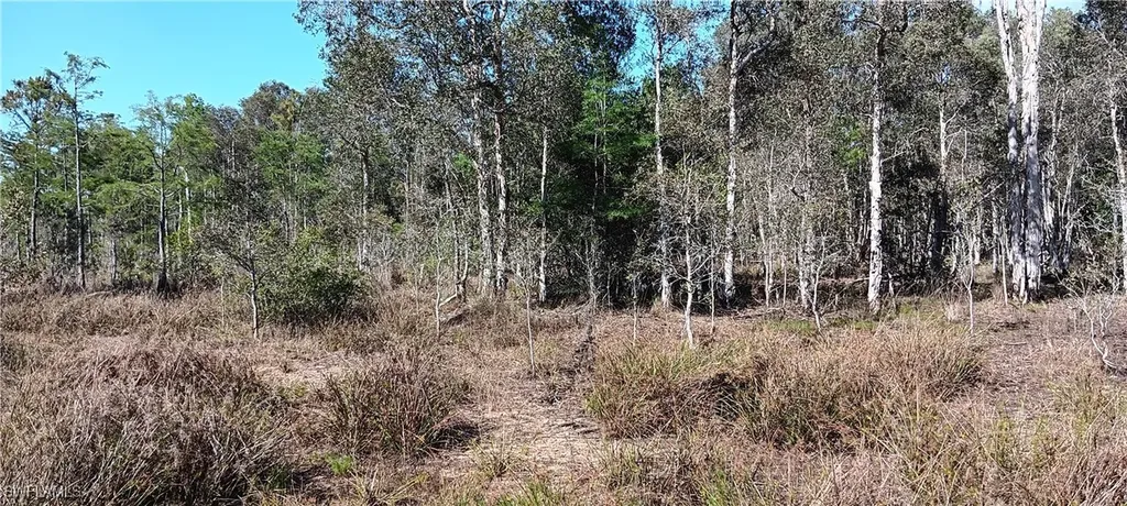 Vista Ridge Drive Fort Myers FL 33913