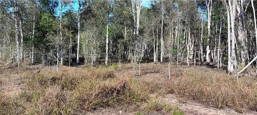 Vista Ridge Drive Fort Myers FL 33913