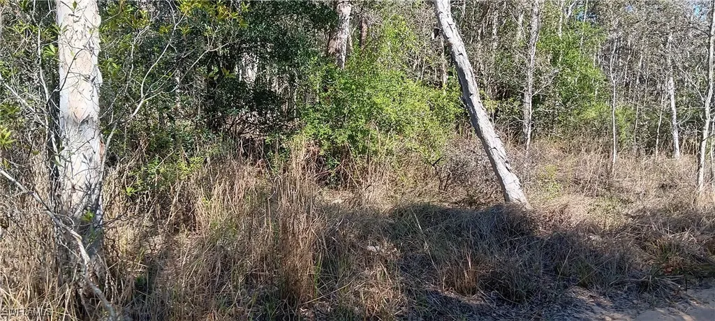 Vista Ridge Drive Fort Myers FL 33913