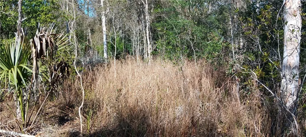 Vista Ridge Drive Fort Myers FL 33913