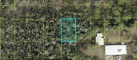 Papaya Avenue Bokeelia FL 33922