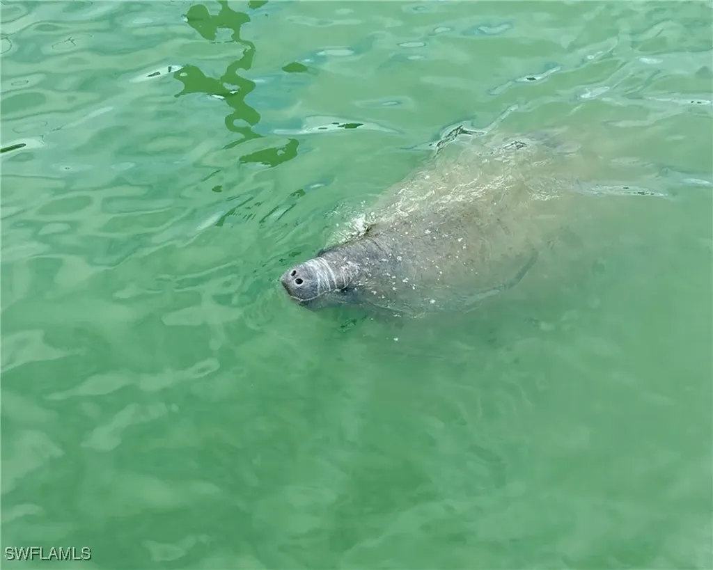 54 Sandpiper Court Captiva FL 33924