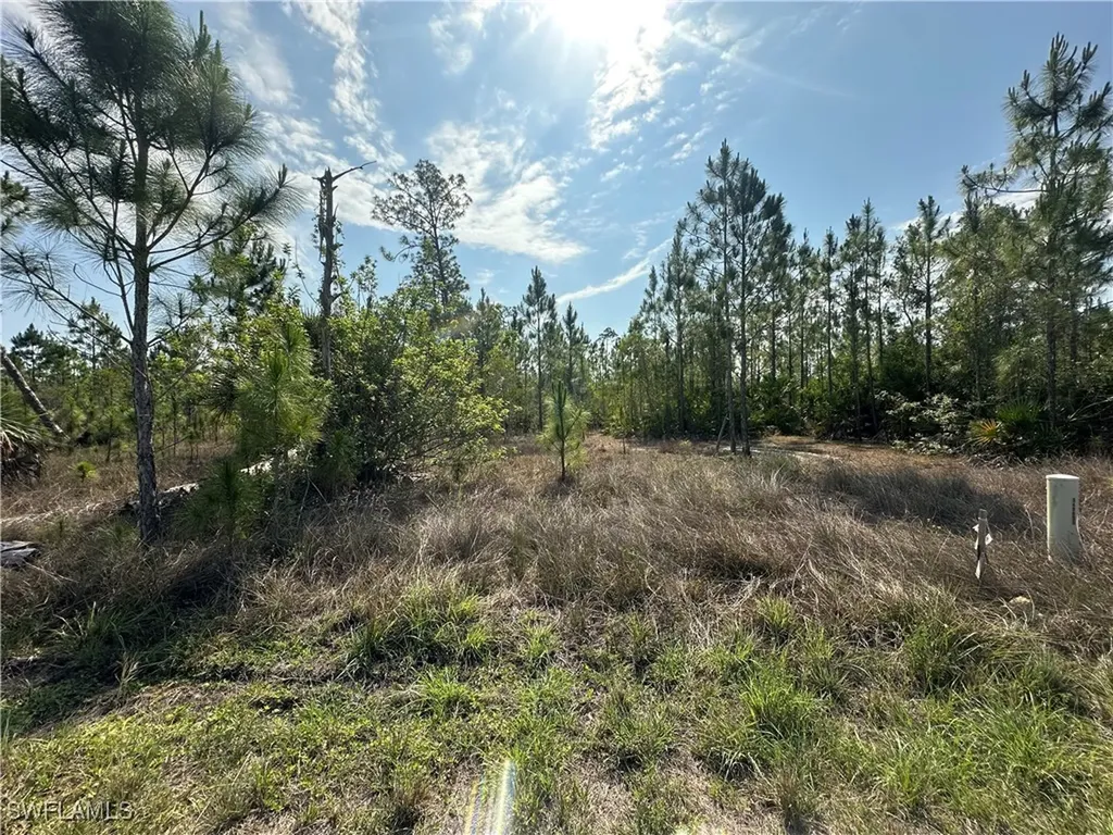 1014 Jackson Avenue Lehigh Acres FL 33972