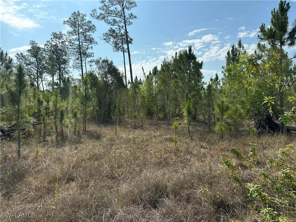 1014 Jackson Avenue Lehigh Acres FL 33972