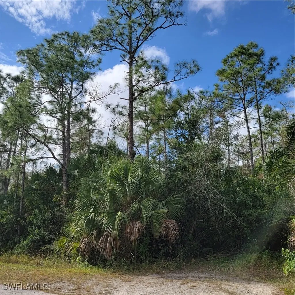 3011 2nd Street NE Naples FL 34120