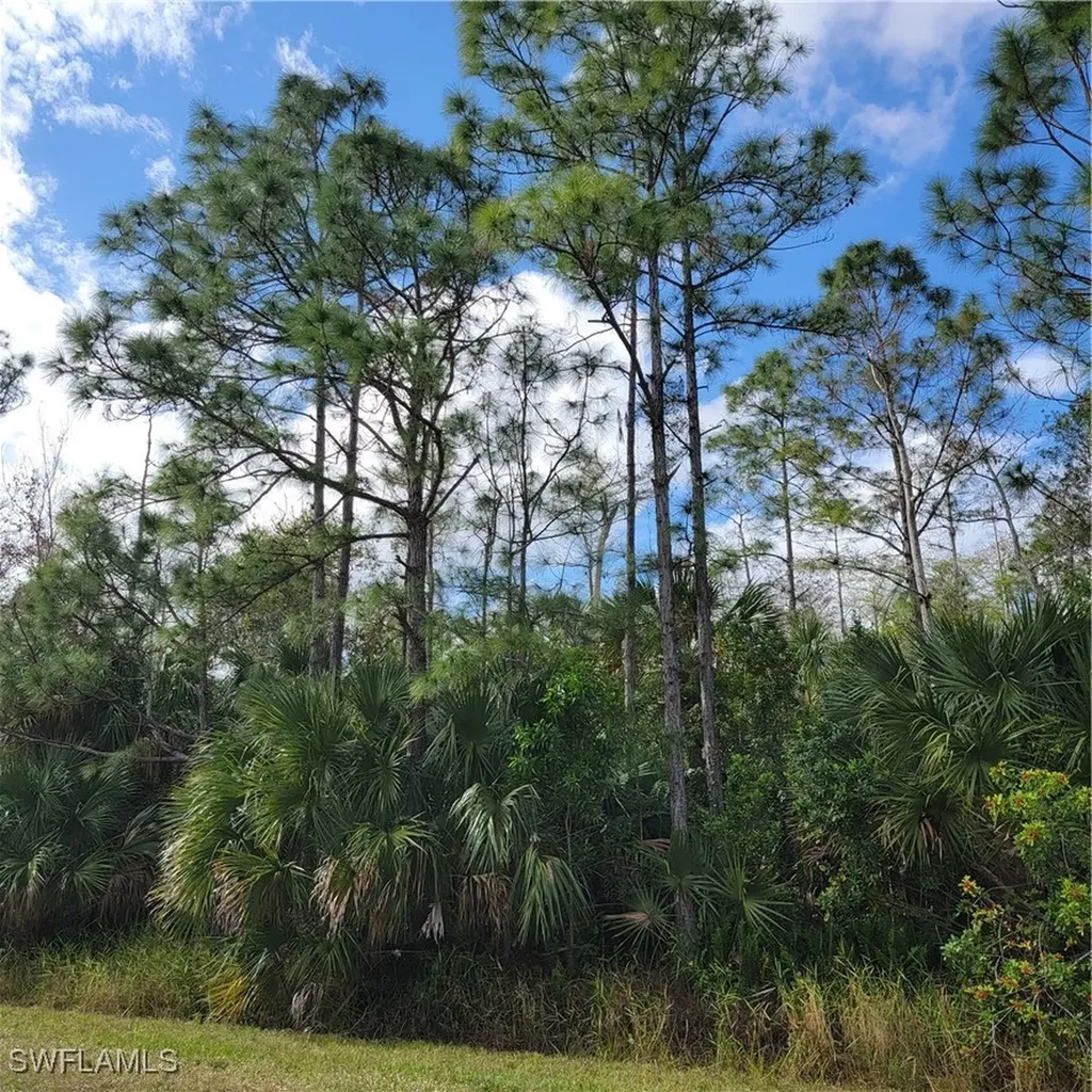 3011 2nd Street NE Naples FL 34120