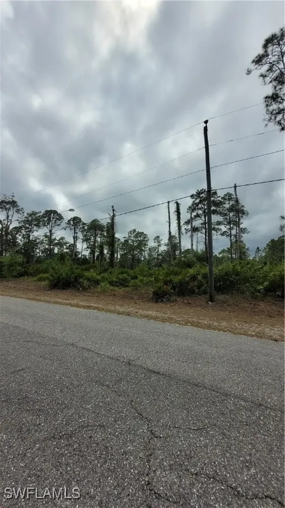 1003 Louis Avenue Lehigh Acres FL 33392