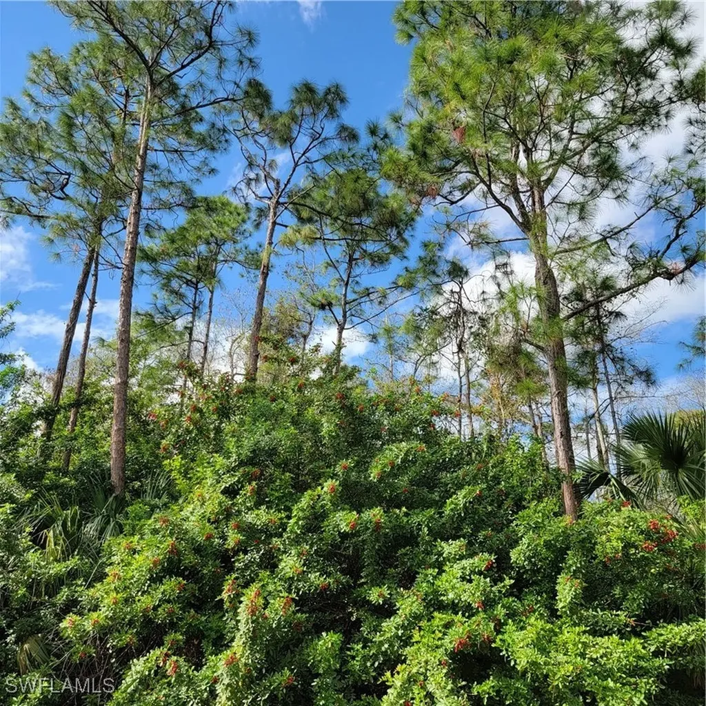 2ND Street NE Naples FL 34120