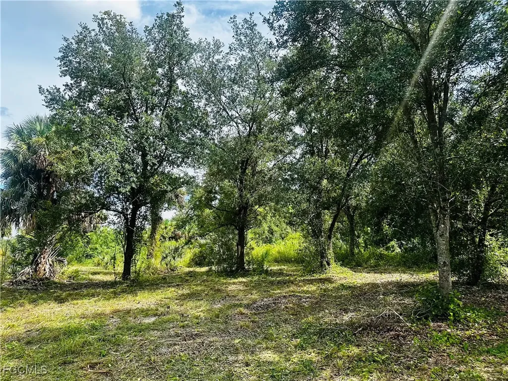 2306 Fitch Avenue Fort Myers FL 33920