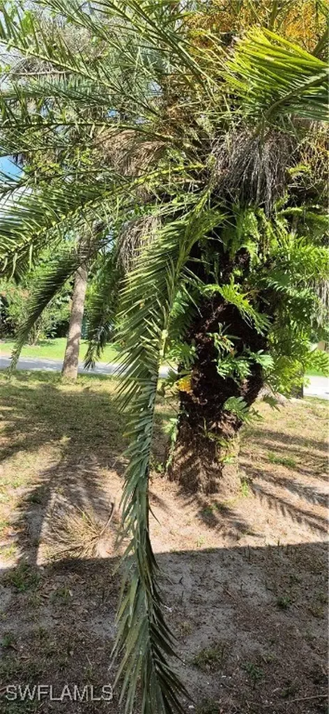 315 Cleveland Avenue Lehigh Acres FL 33936
