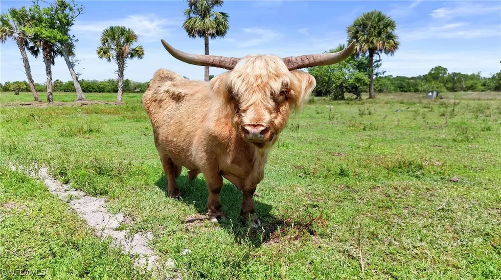 2777 Everhigh Acres Road Clewiston FL 33440