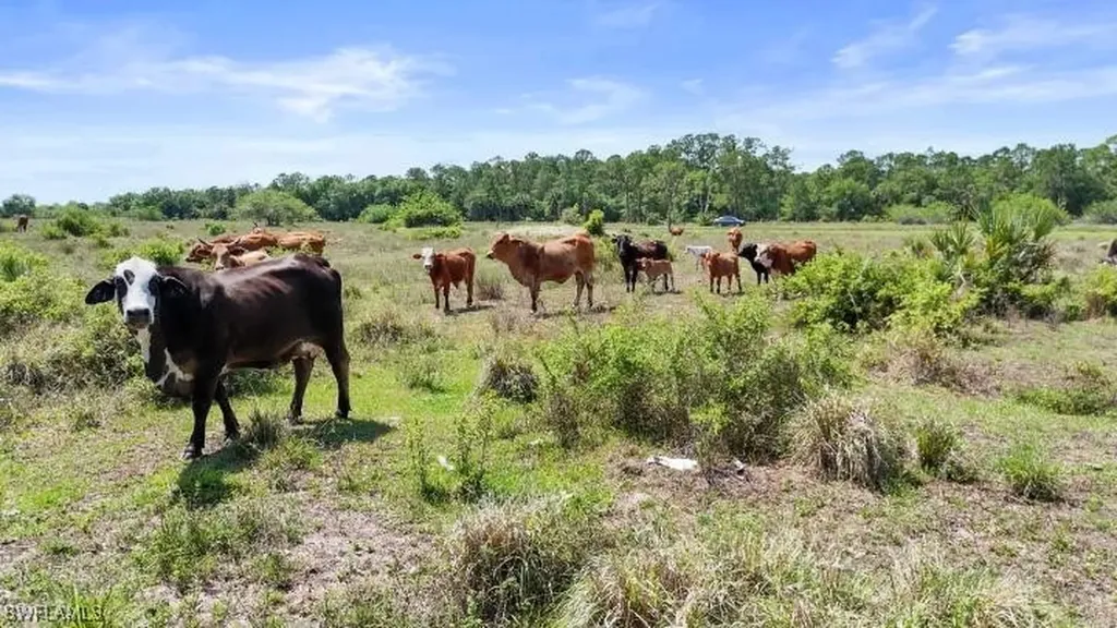 2777 Everhigh Acres Road Clewiston FL 33440