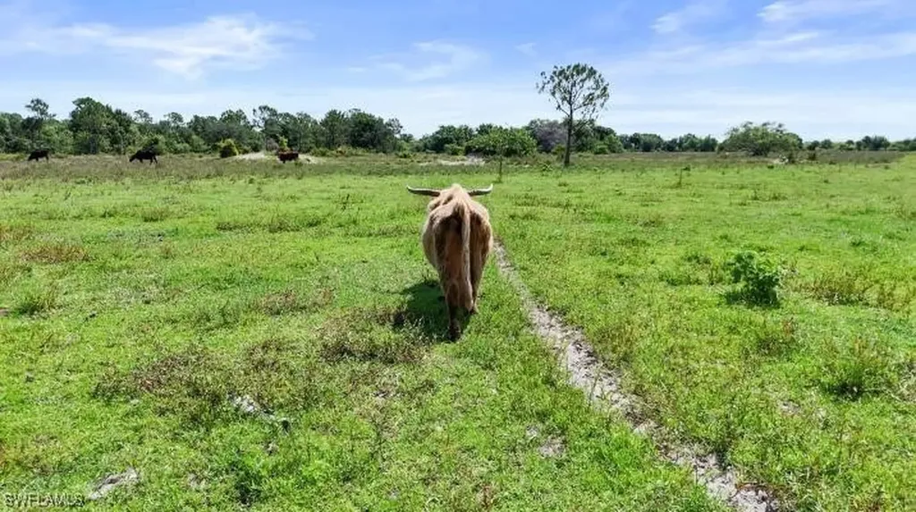 2777 Everhigh Acres Road Clewiston FL 33440