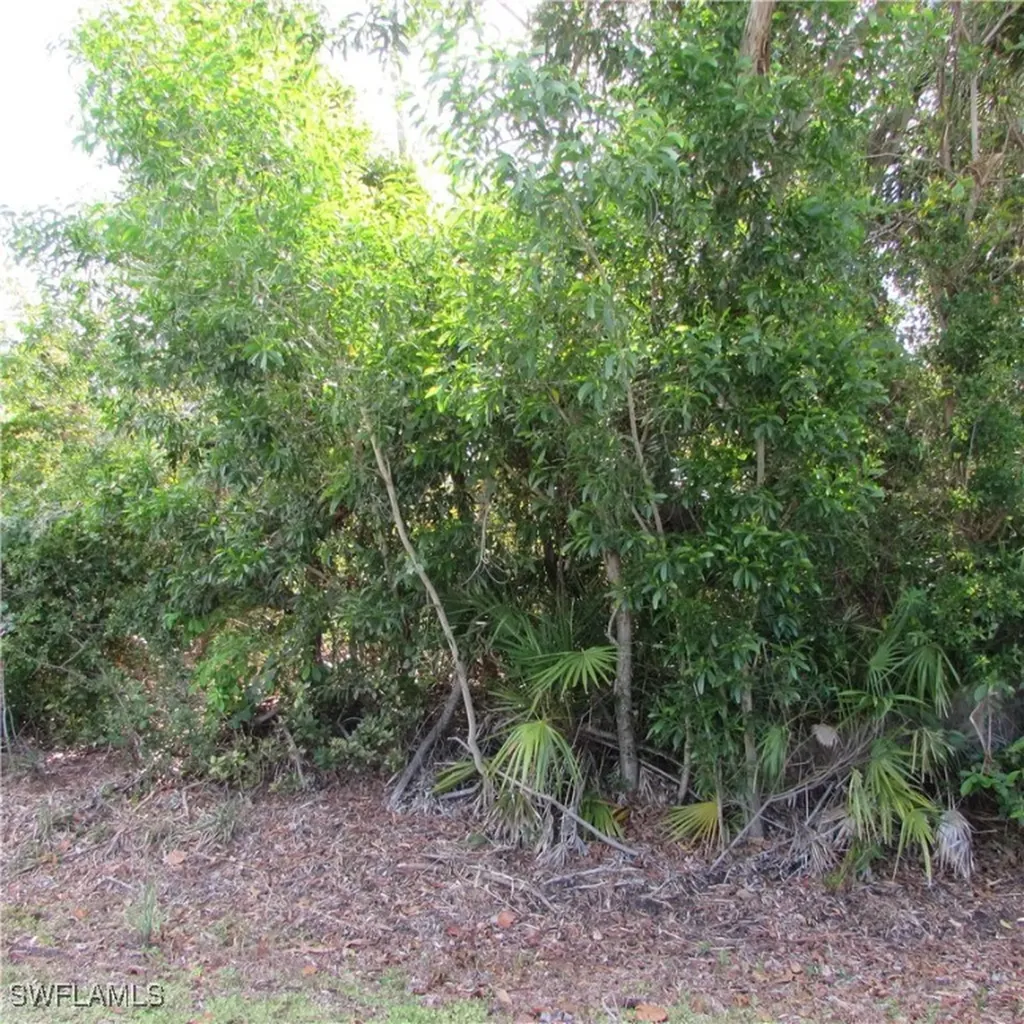 12348 Dolphin Road Bokeelia FL 33922